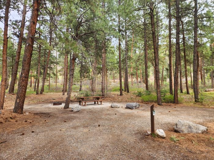 Site 15 spur with picnic table and fire ring on "correct" side