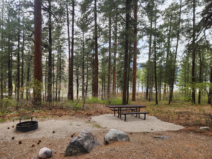 Site 16 picnic table and fire ring on lower side of site