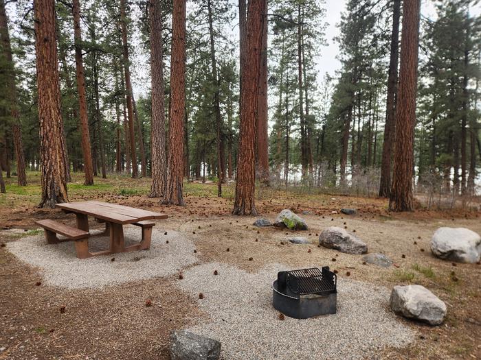 Site 21 picnic table and fire ring located to rear of site