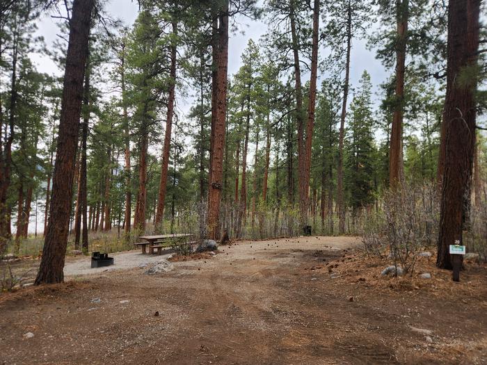 Site 20 with picnic table and fire ring on "correct" side