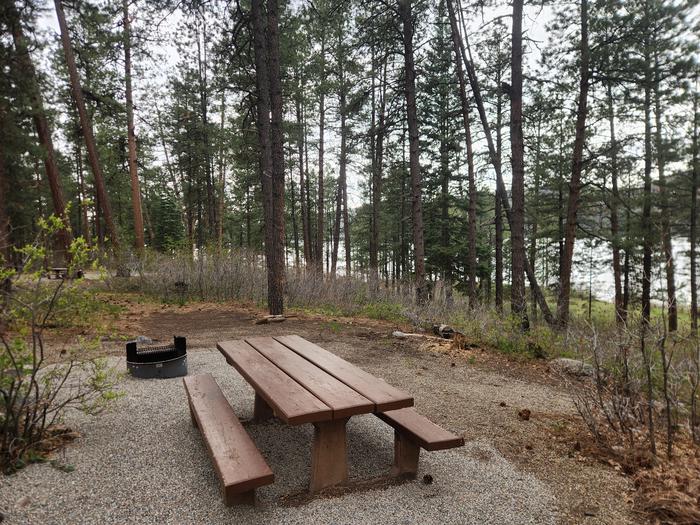 Site 20 picnic table and fire ring