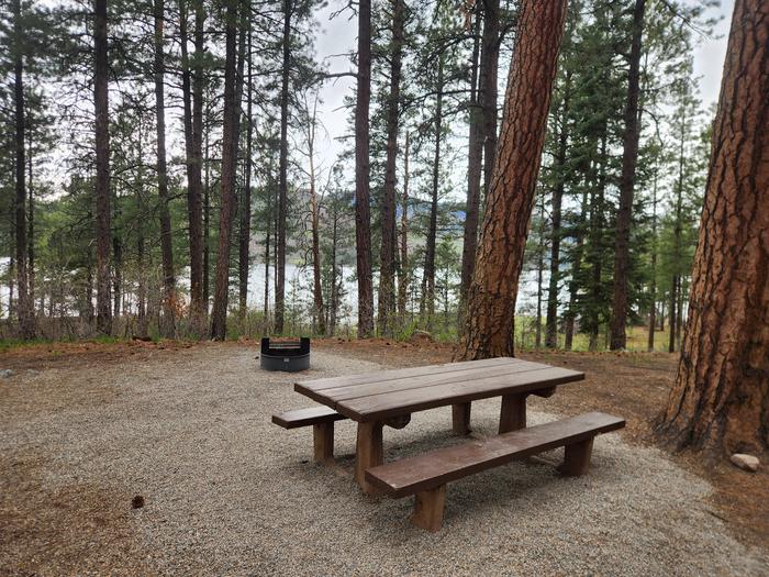 Site 18 picnic table and fire ring