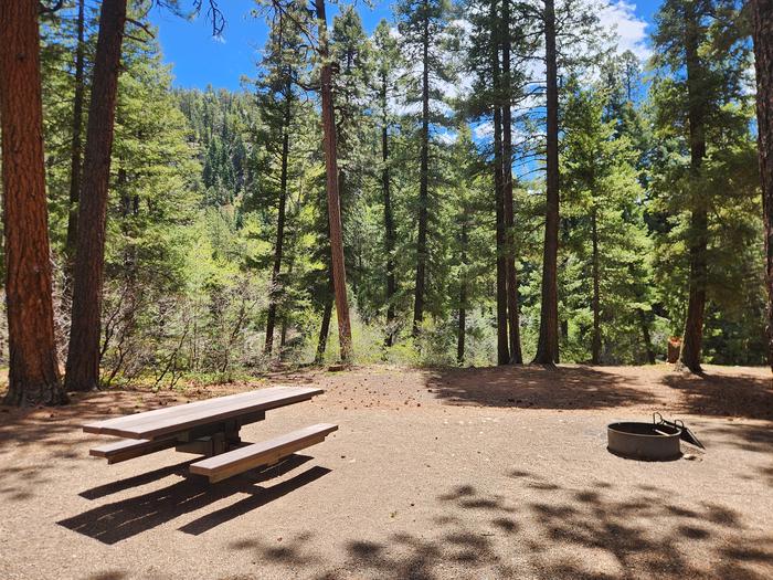 B6 picnic table and fire ring