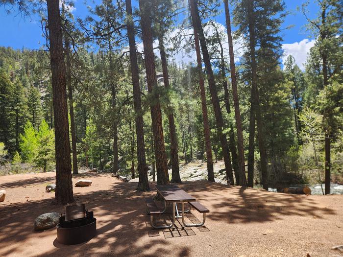 B9 picnic table and fire ring located by creek