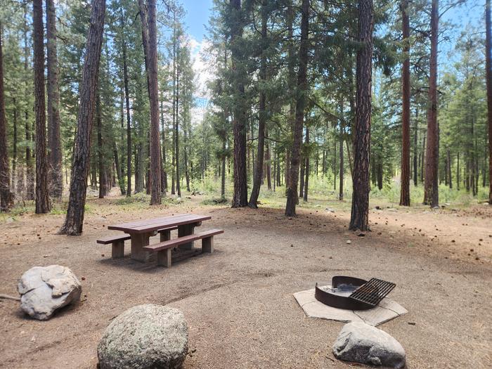 Site B14 picnic table and fire ring