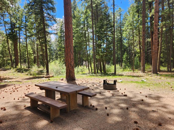 B16 picnic table and fire ring