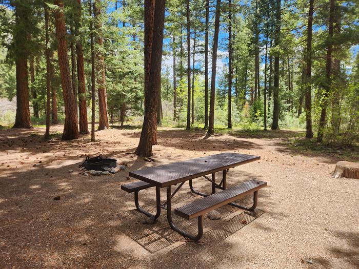 B20 picnic table and fire ring