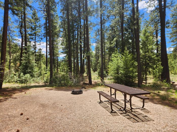 B21 Picnic table and fire ring