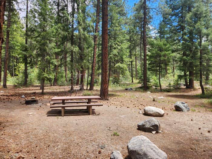 B22 picnic table and fire ring