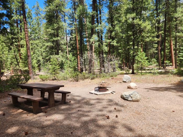 B23 Picnic table and fire ring