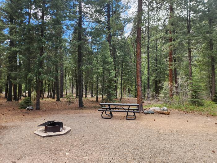 B27 picnic table and fire ring