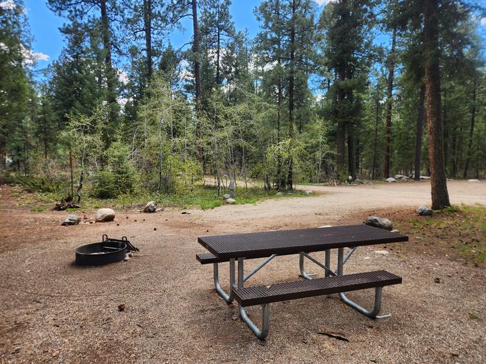 B29 picnic table and fire ring