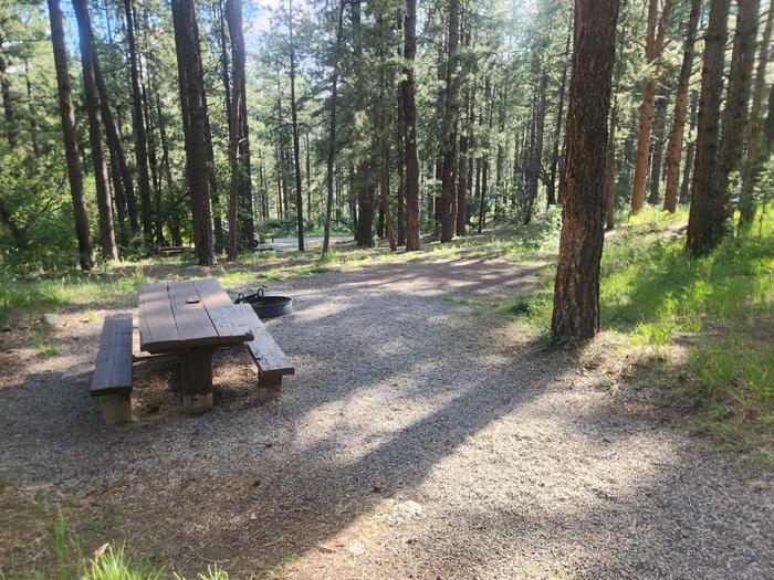 C3 Picnic table, fire ring, and large flat spot ideal for tent