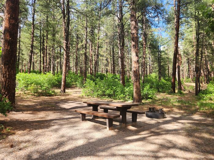 C2 Picnic table and fire ring with flat area above for tent