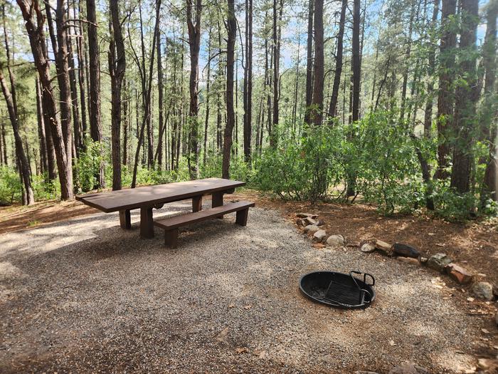 C11 picnic table and fire ring surrounded by pine forest