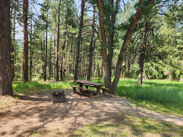 C5 picnic table and fire ring