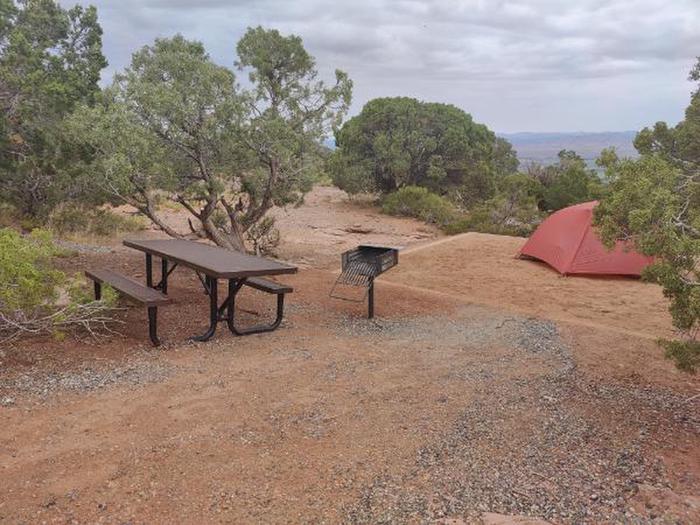 A photo of Site 08 of Loop A at SADDLEHORN CAMPGROUND