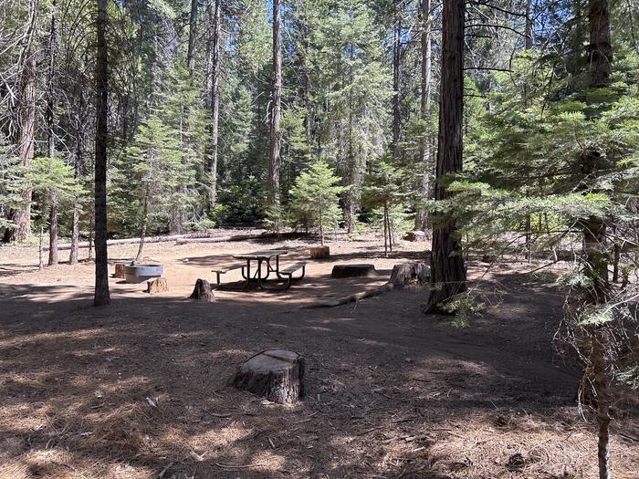 A photo of Site A001 of Loop AREA CHILKOOT at CHILKOOT with Picnic Table, Fire Pit, Tent Pad