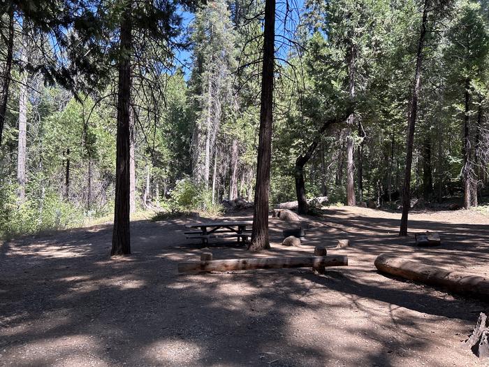 A photo of Site A003 of Loop AREA CHILKOOT at CHILKOOT with Picnic Table, Fire Pit, Shade, Tent Pad