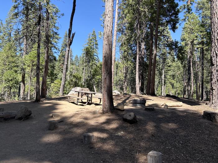 A photo of Site A006 of Loop AREA CHILKOOT at CHILKOOT with Fire Pit, Shade, Tent Pad