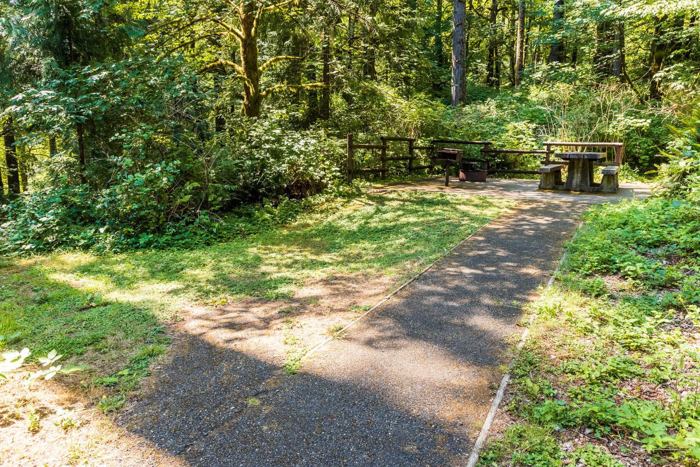 Campsite #11 pathway to picnic table and tent padCampsite #11 pathway to picnic table and tent pad.