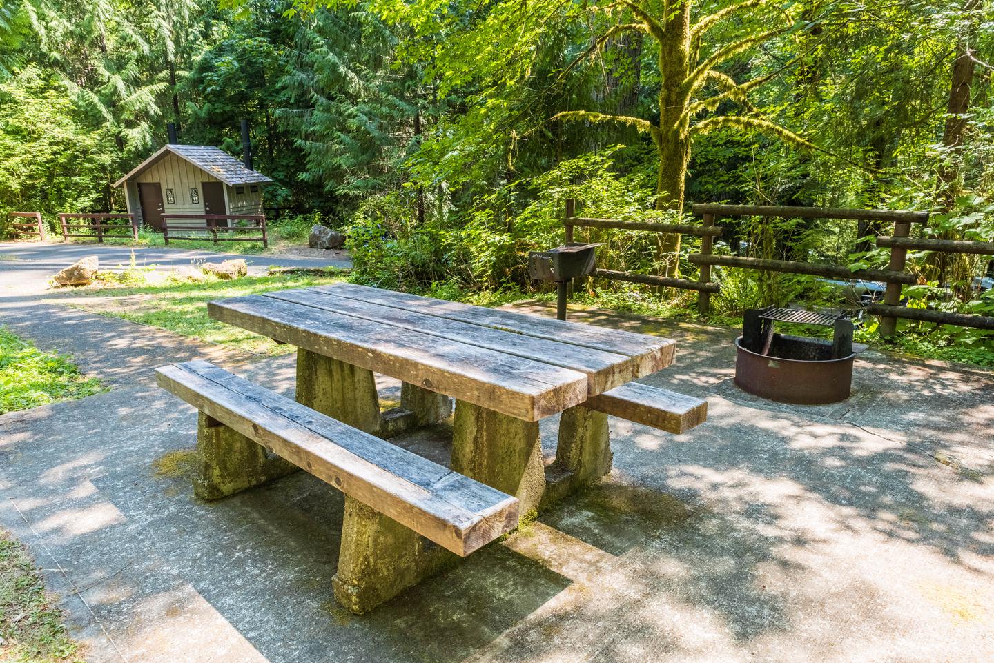 Campsite #11 picnic table, fire ring, and BBQ grill.