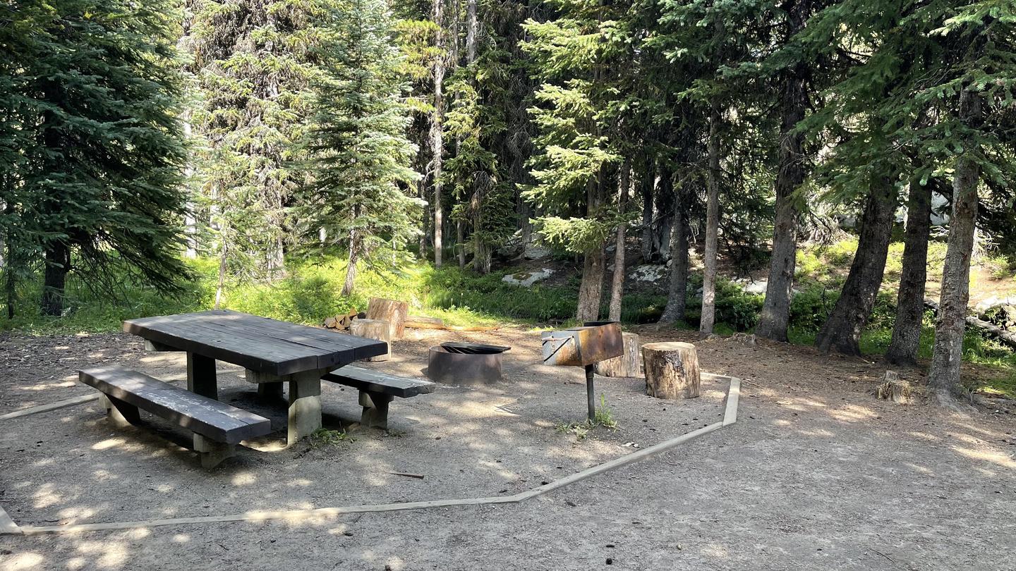 Site 33 Picnic Table