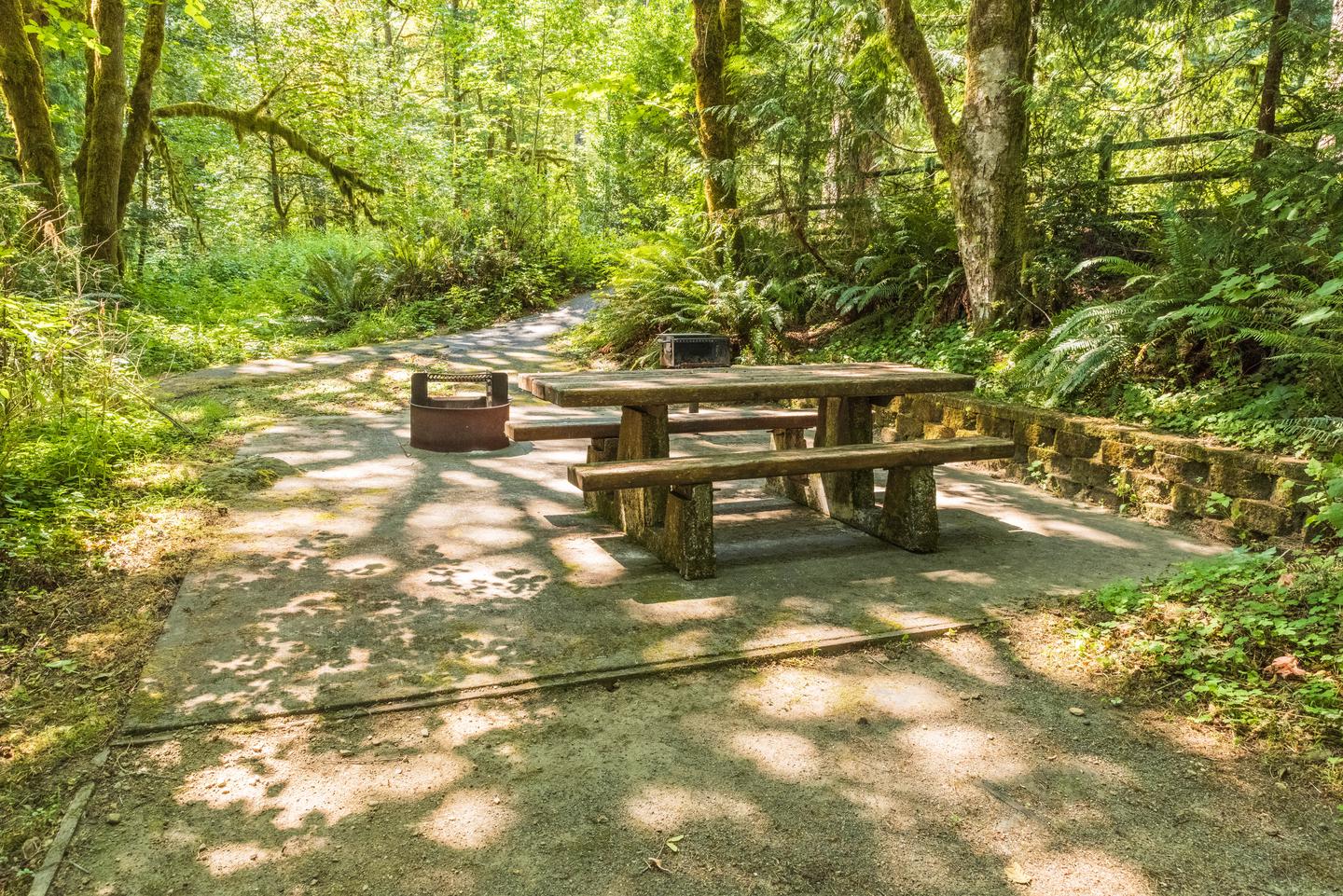 Campsite #25 picnic table, bbq grill, and fire pit.