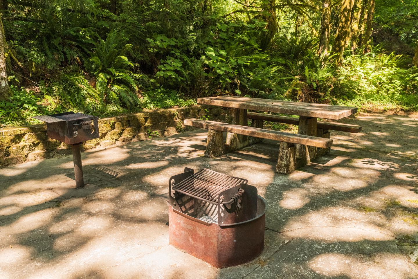 Campsite #25 picnic table, bbq grill, and fire pitCampsite #25 picnic table, bbq grill, and fire pit.