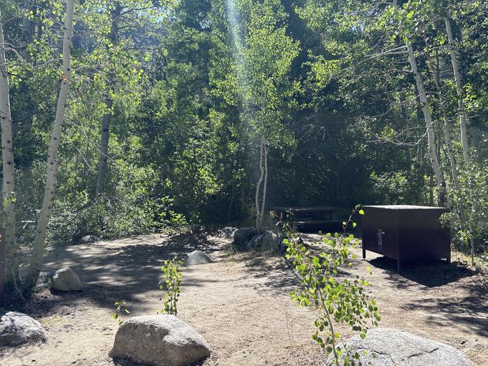 A photo of Site 2 of Loop Leavitt Meadows at Leavitt Meadows with Picnic Table, Fire Pit, Food Storage, Tent Pad