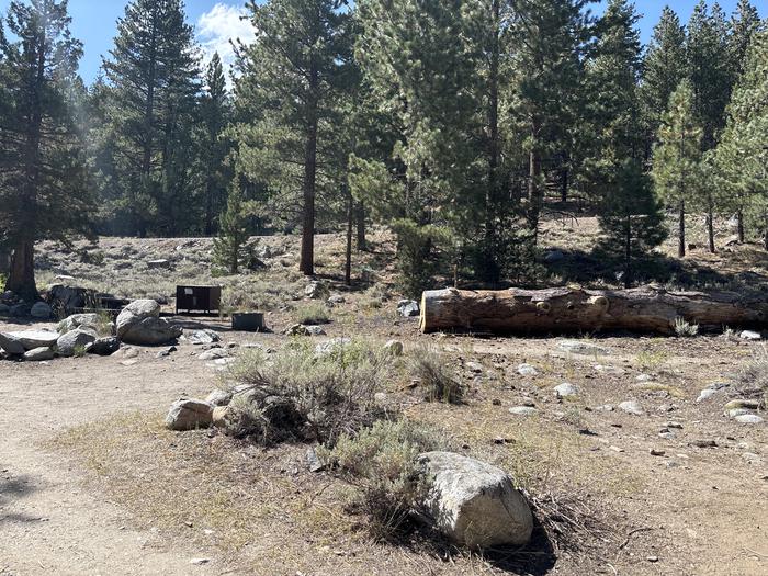 A photo of Site 13 of Loop Leavitt Meadows at Leavitt Meadows with Picnic Table, Fire Pit, Food Storage, Tent Pad