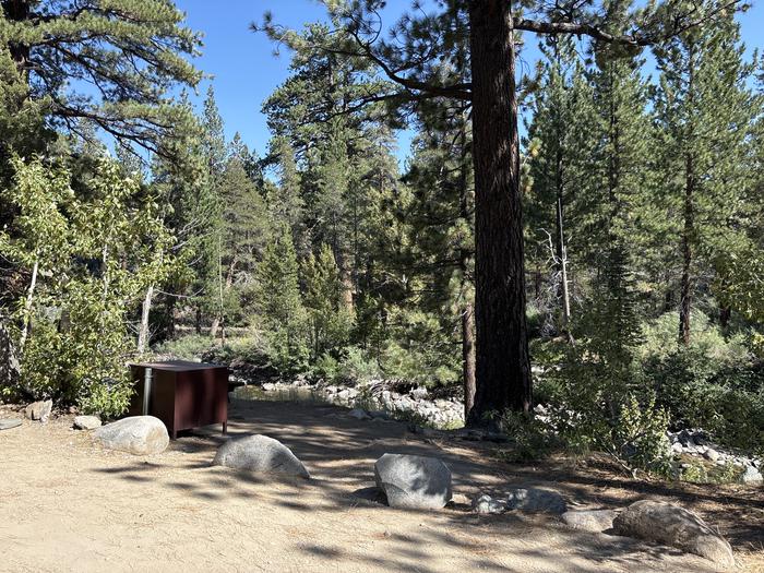 A photo of Site 4 of Loop Leavitt Meadows at Leavitt Meadows with Picnic Table, Fire Pit, Food Storage, Tent Pad, Waterfront