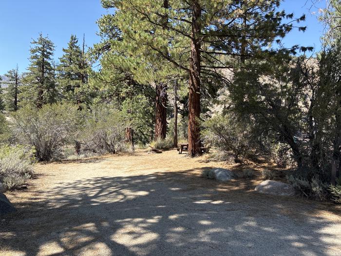 A photo of Site 3 of Loop Sonora Bridge at Sonora Bridge with Picnic Table, Fire Pit, Shade, Tent Pad