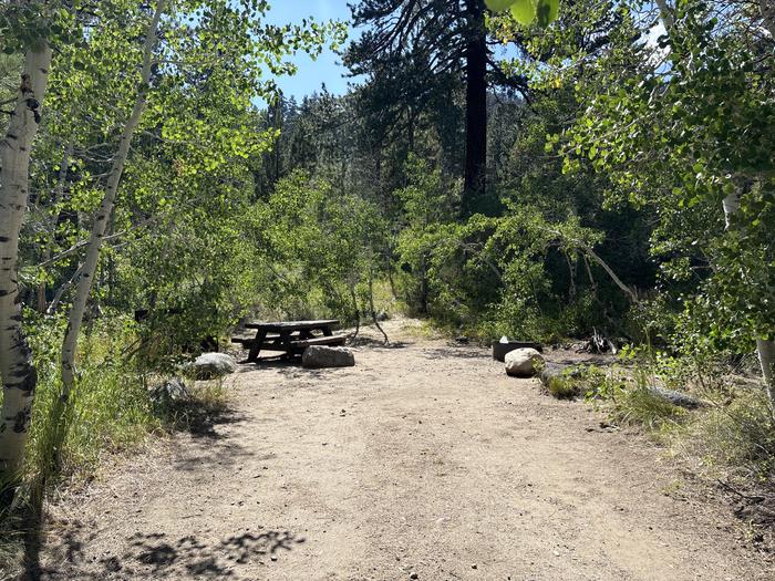 A photo of Site 10 of Loop Leavitt Meadows at Leavitt Meadows with Picnic Table, Fire Pit, Shade, Food Storage, Tent Pad