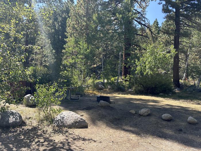 A photo of Site 16 of Loop Leavitt Meadows at Leavitt Meadows with Picnic Table, Fire Pit, Food Storage, Tent Pad