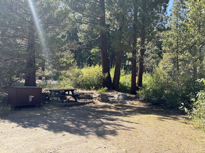 A photo of Site 17 of Loop Leavitt Meadows at Leavitt Meadows with Picnic Table, Fire Pit, Food Storage, Tent Pad