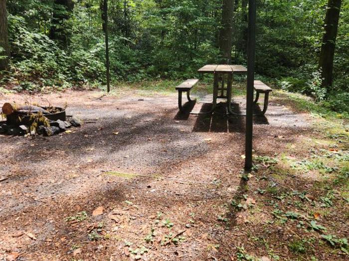 Tranquil site set aside from the restWelcome to Upper Chattahoochee site #11. After the small creek crossing you will find this quiet hidden place to enjoy.