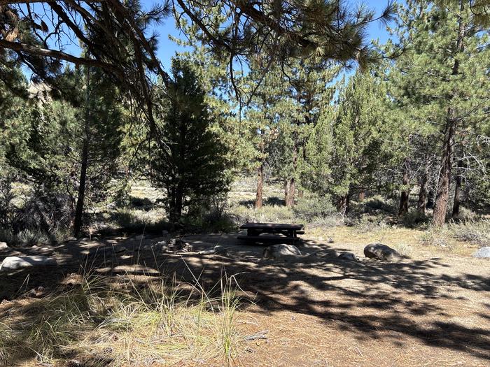 A photo of Site 21 of Loop Sonora Bridge at Sonora Bridge with Picnic Table, Fire Pit, Shade, Tent Pad