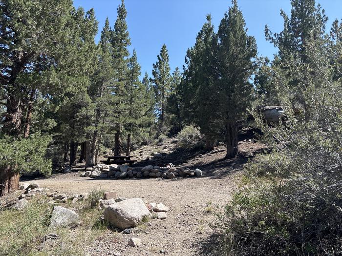 A photo of Site 23 of Loop Sonora Bridge at Sonora Bridge with Picnic Table, Fire Pit, Shade, Tent Pad