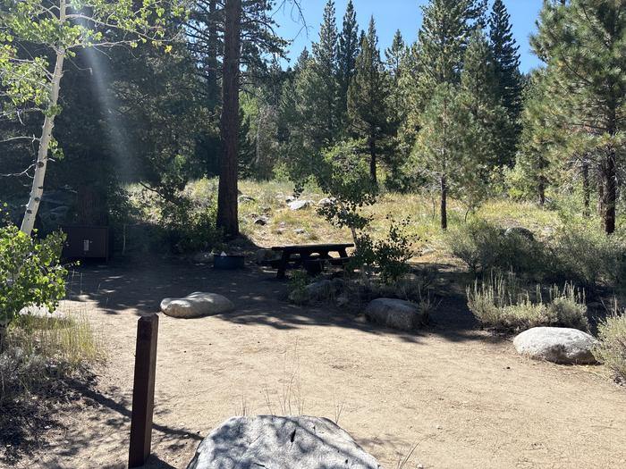 A photo of Site 7 of Loop Leavitt Meadows at Leavitt Meadows with Picnic Table, Fire Pit, Food Storage, Tent Pad