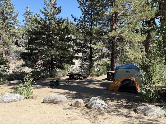 A photo of Site 9 of Loop Leavitt Meadows at Leavitt Meadows with Picnic Table, Fire Pit, Shade, Food Storage, Tent Pad, Waterfront