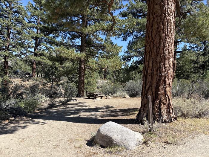 A photo of Site 10 of Loop Sonora Bridge at Sonora Bridge with Picnic Table, Fire Pit, Tent Pad