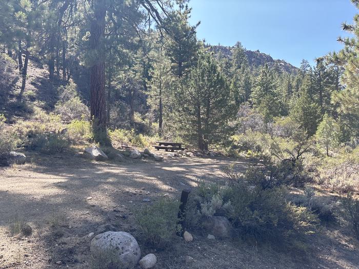 A photo of Site 20 of Loop Sonora Bridge at Sonora Bridge with Picnic Table, Fire Pit, Shade, Tent Pad