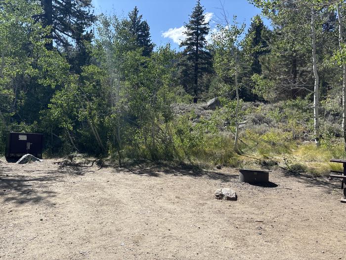 A photo of Site 11 of Loop Leavitt Meadows at Leavitt Meadows with Picnic Table, Fire Pit, Food Storage, Tent Pad