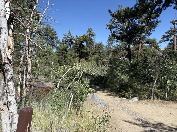 A photo of Site 15 of Loop Leavitt Meadows at Leavitt Meadows with Picnic Table, Fire Pit, Food Storage, Tent Pad