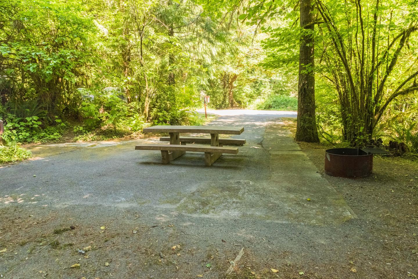 Campsite #28 picnic table and fire pit.