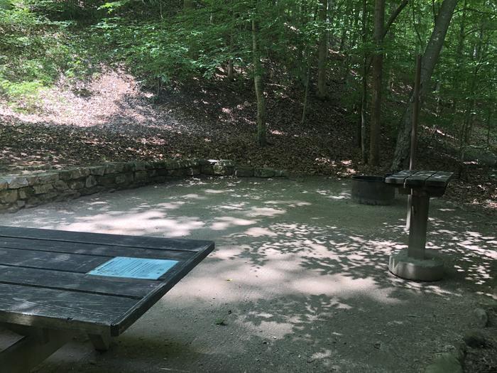 A photo of Site 010 of Loop CAVE MOUNTAIN LAKE FAMILY CAMP at CAVE MOUNTAIN LAKE FAMILY CAMP with Picnic Table, Fire Pit, Shade, Lantern Pole