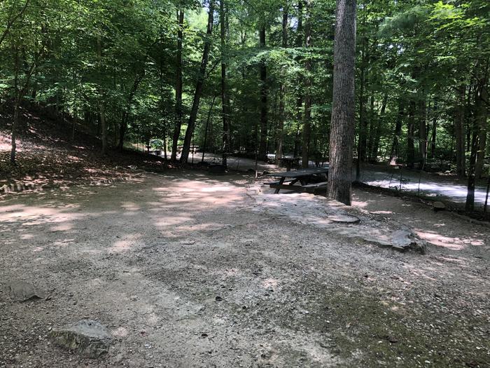 A photo of Site 010 of Loop CAVE MOUNTAIN LAKE FAMILY CAMP at CAVE MOUNTAIN LAKE FAMILY CAMP with Picnic Table, Shade, Tent Pad