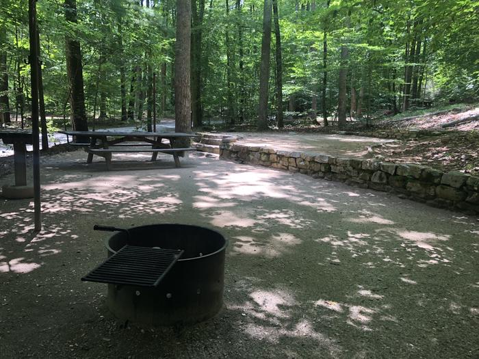 A photo of Site 010 of Loop CAVE MOUNTAIN LAKE FAMILY CAMP at CAVE MOUNTAIN LAKE FAMILY CAMP with Picnic Table, Fire Pit, Shade, Tent Pad, Lantern Pole