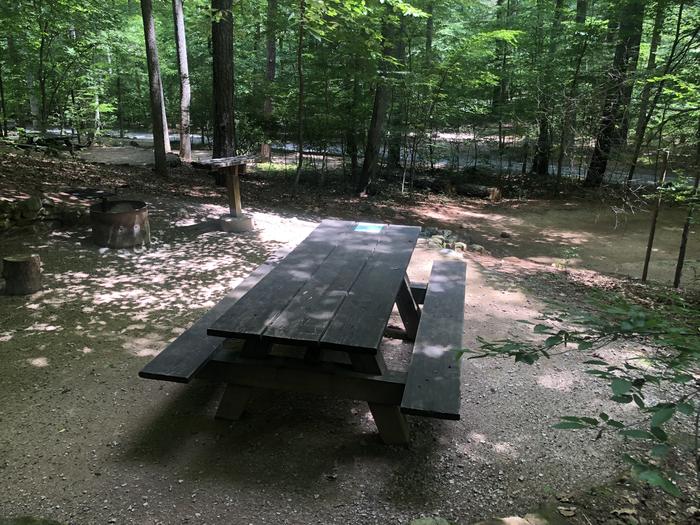 A photo of Site 014 of Loop CAVE MOUNTAIN LAKE FAMILY CAMP at CAVE MOUNTAIN LAKE FAMILY CAMP with Picnic Table, Fire Pit, Shade, Tent Pad, Lantern Pole